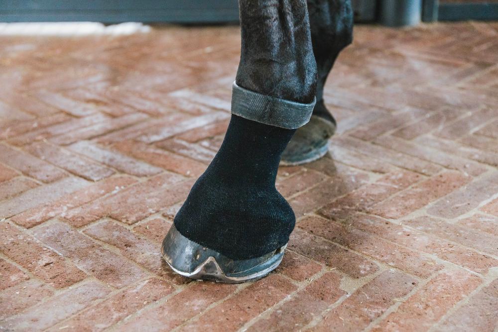 Tendon Grip Bandagenstrumpf Gel - Kentucky Horsewear