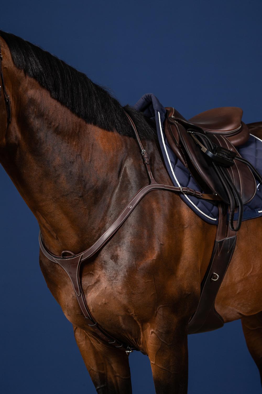 Vorderzeug mit langer Brücke