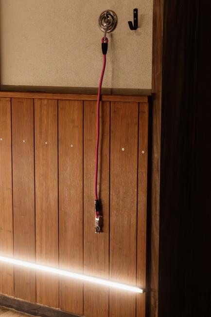 Horse Box Lead & Cross Ties Anbinder Silicone