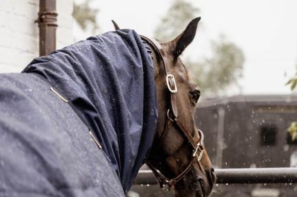 Horse Schal Halsteil Wasserdicht Classic - Kentucky Horsewear