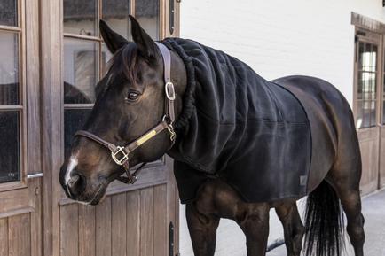 Heavy Fleece Horse Schal Halsteil - Kentucky Horsewear
