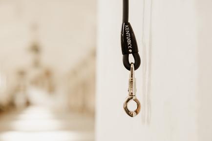 Horse Box Lead & Cross Ties Anbinder Silicone