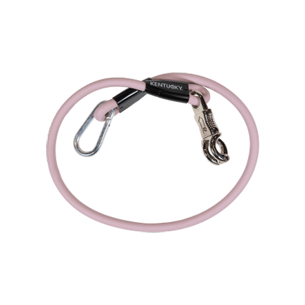 Horse Box Lead & Cross Ties Anbinder Silicone