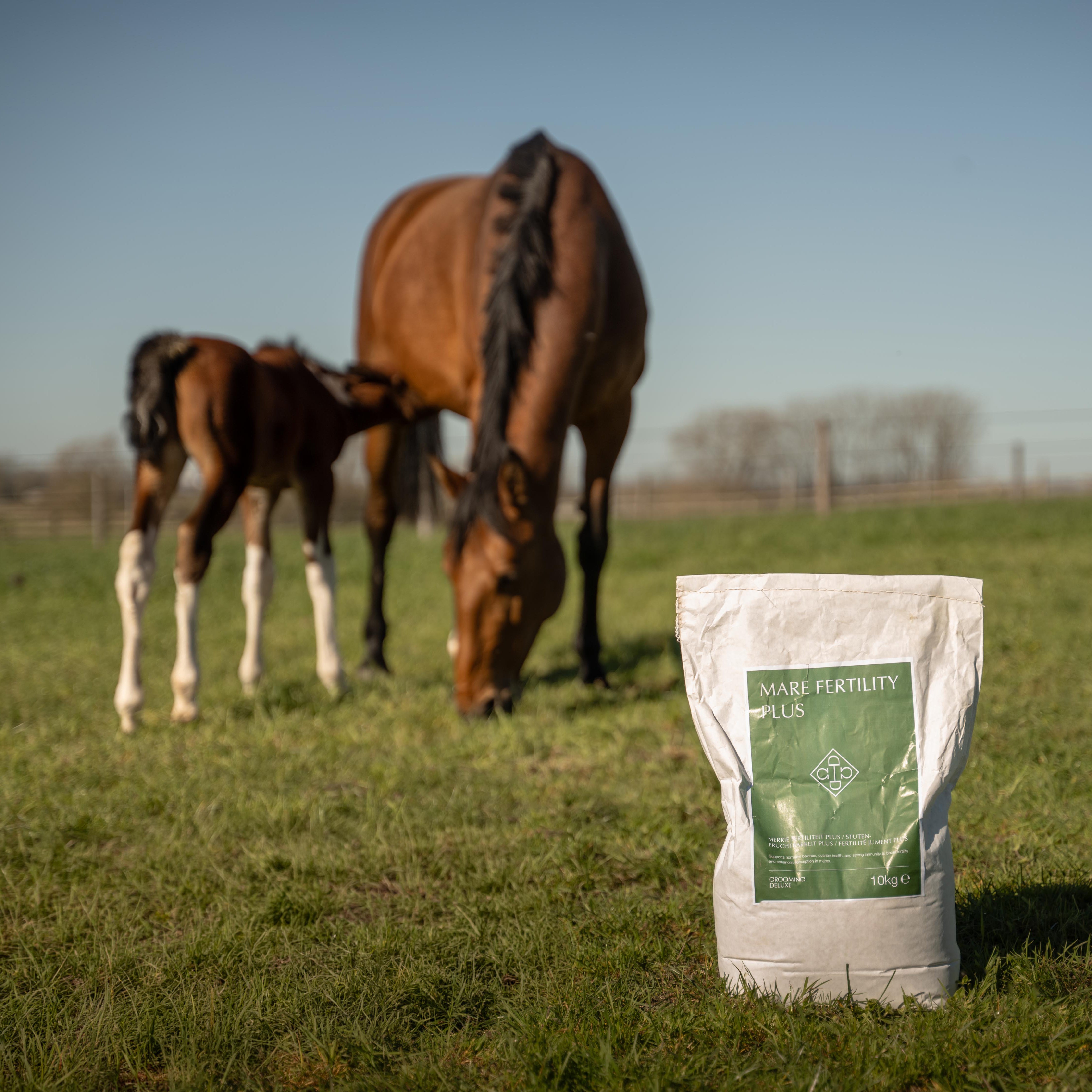 Mare Fertility Plus