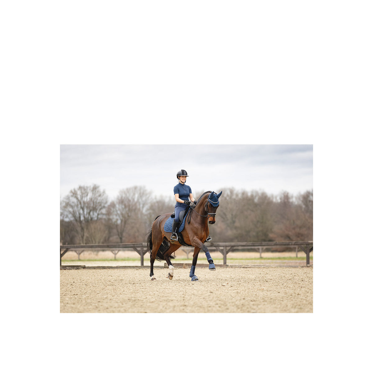 ANKY® Hufglocken ATB25006 3C