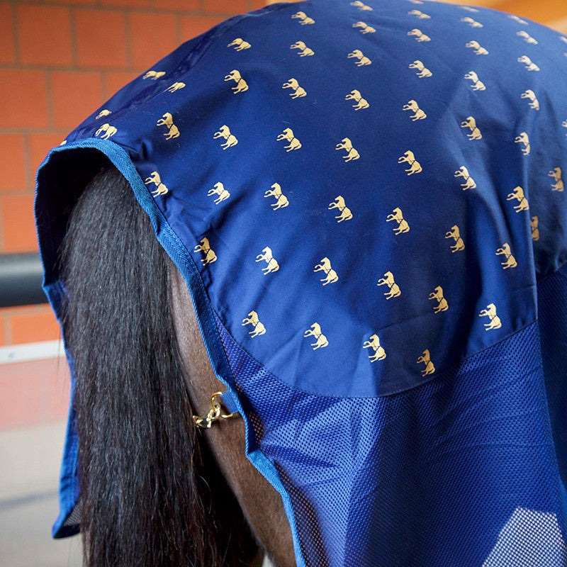 Accuhorsemat Cooler Akkupressurdecke mieten / leihen