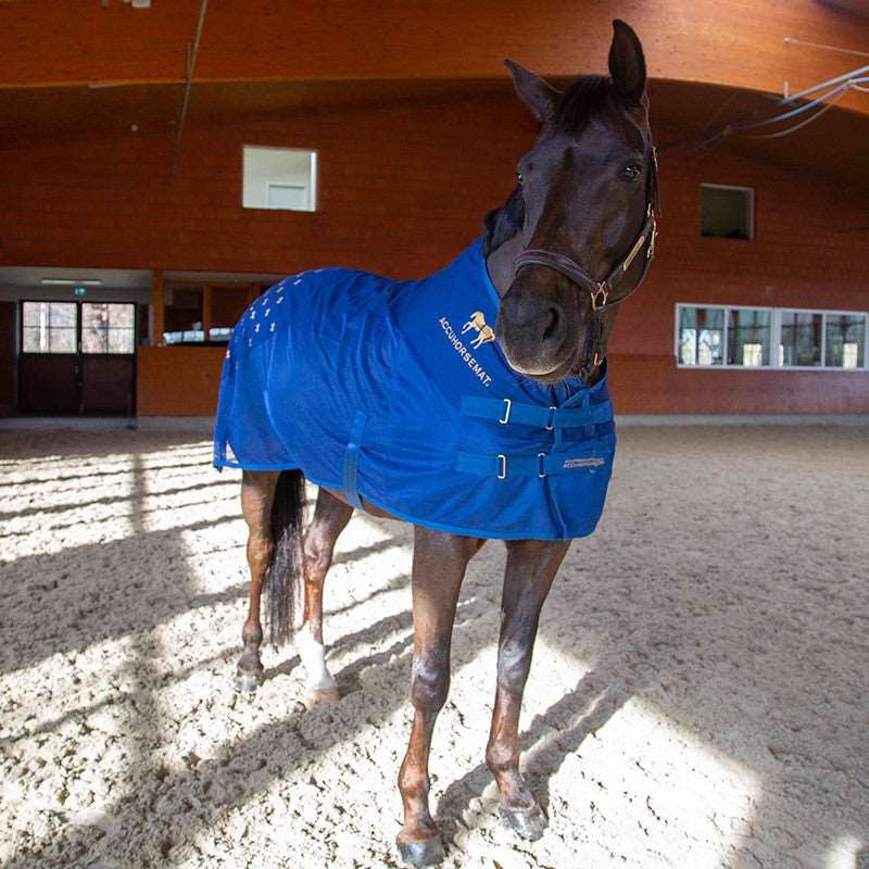 Accuhorsemat Cooler Akkupressurdecke mieten / leihen