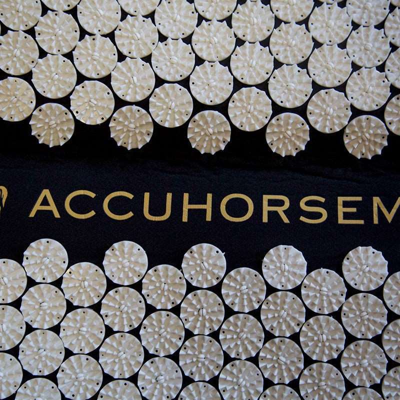 Accuhorsemat Original inkl. Akupressurmatten