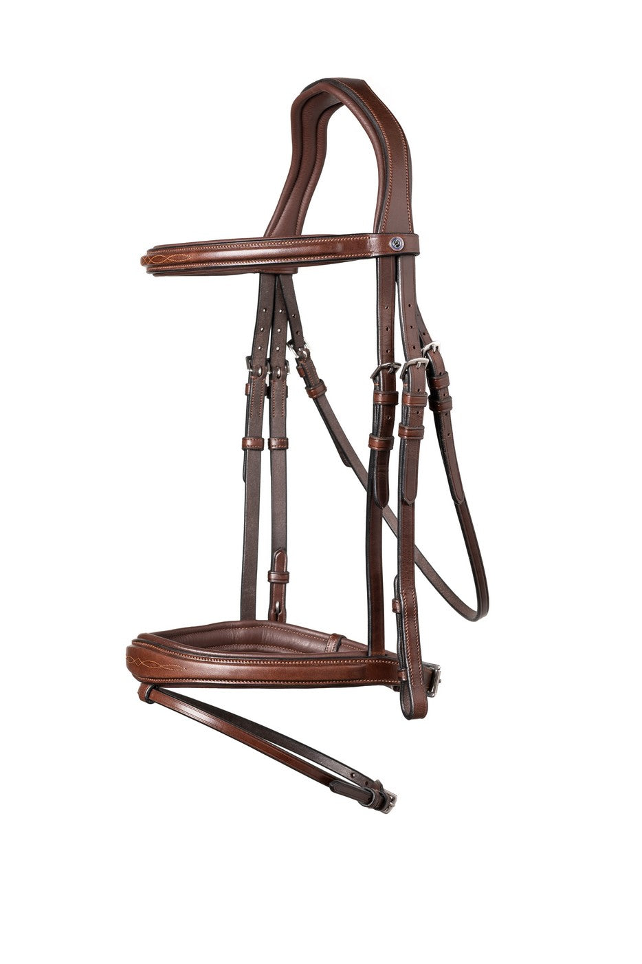 Anatomische Trense Amsterdam, englisch