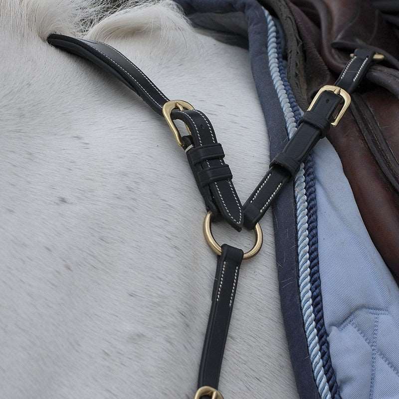 Anatomisches Vorderzeug DYON Collection