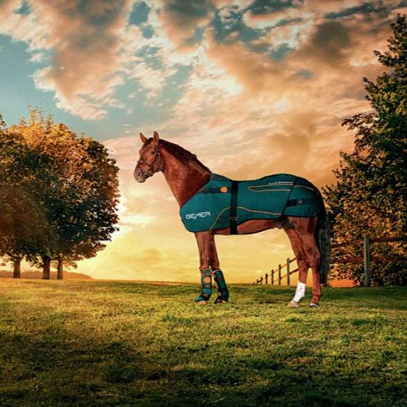 Bemer Horse Set kaufen