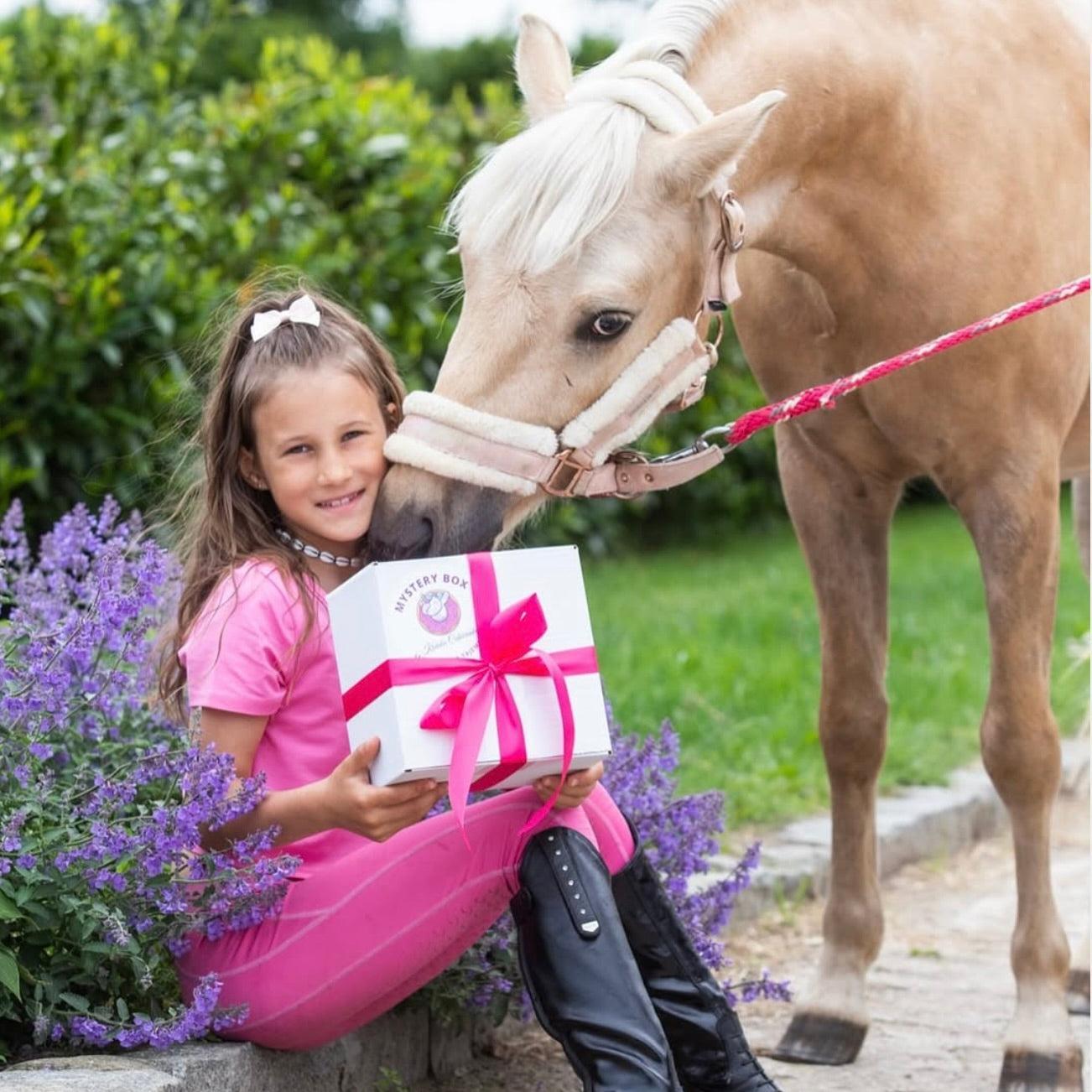 MYSTERY LECKERLIE BOX - Pony Bueno