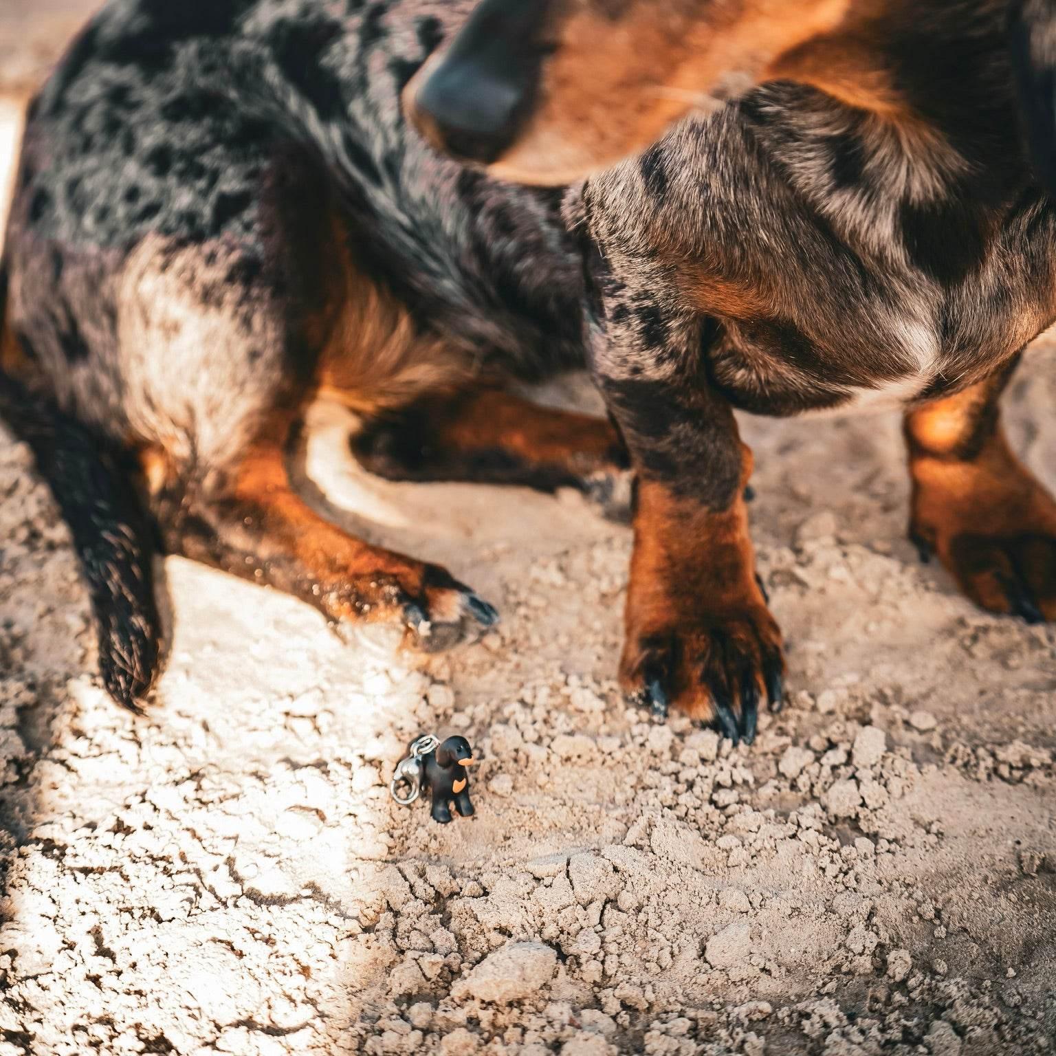 SAUSAGE SWEETIE Charm