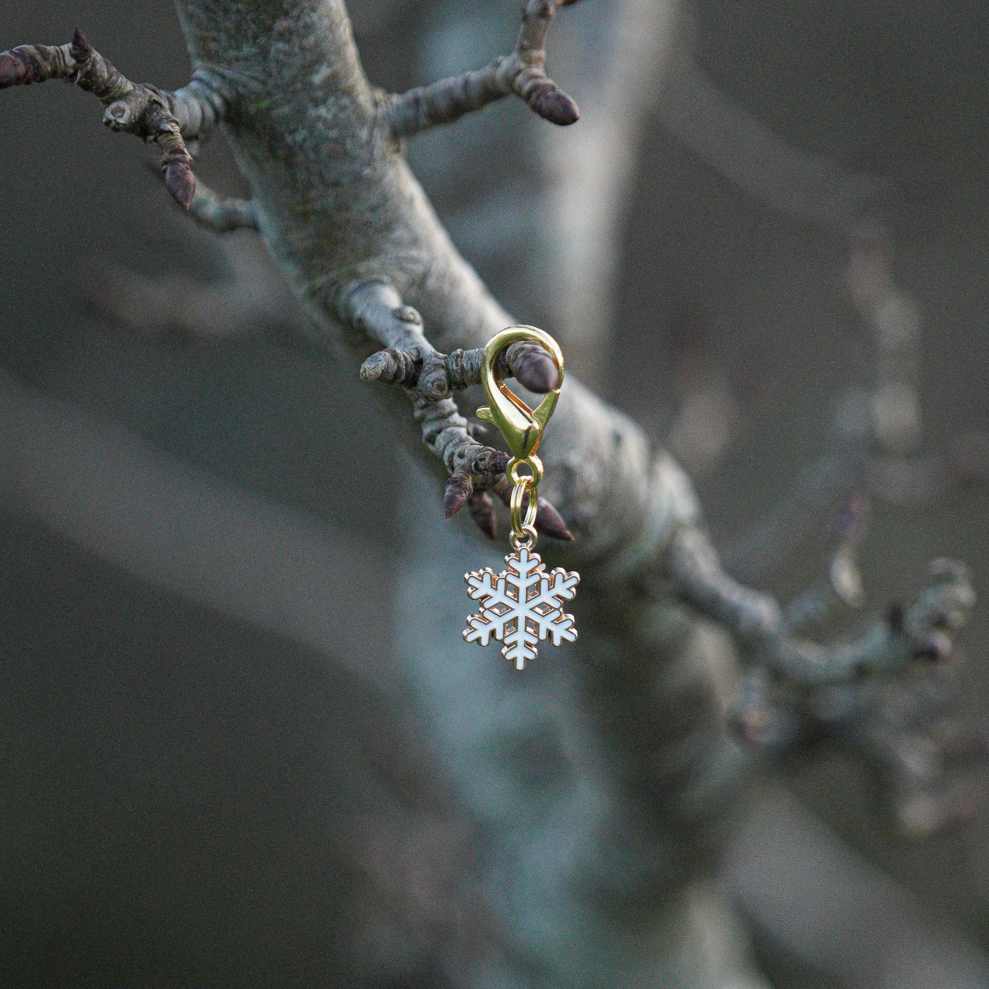 FROSTY SNOWFLAKE Charm