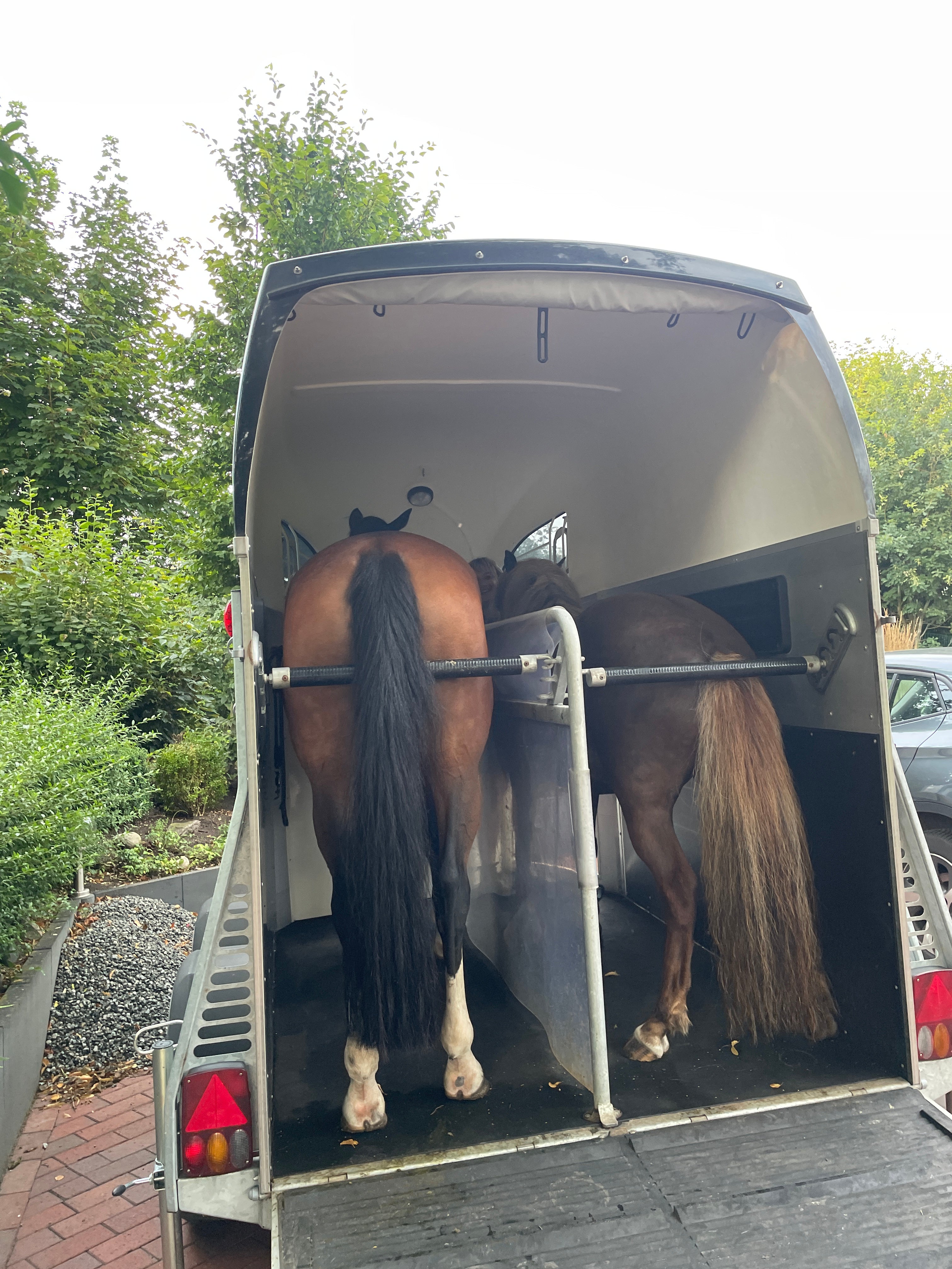 Mobile Solekamer | Soleanhänger mieten / leihen