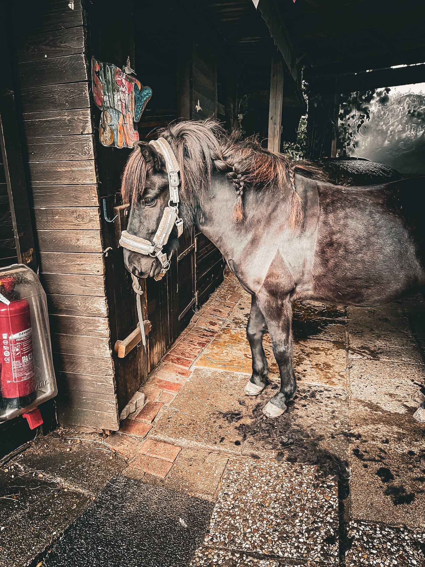 Akkuschermaschine Xplorer leihen / mieten