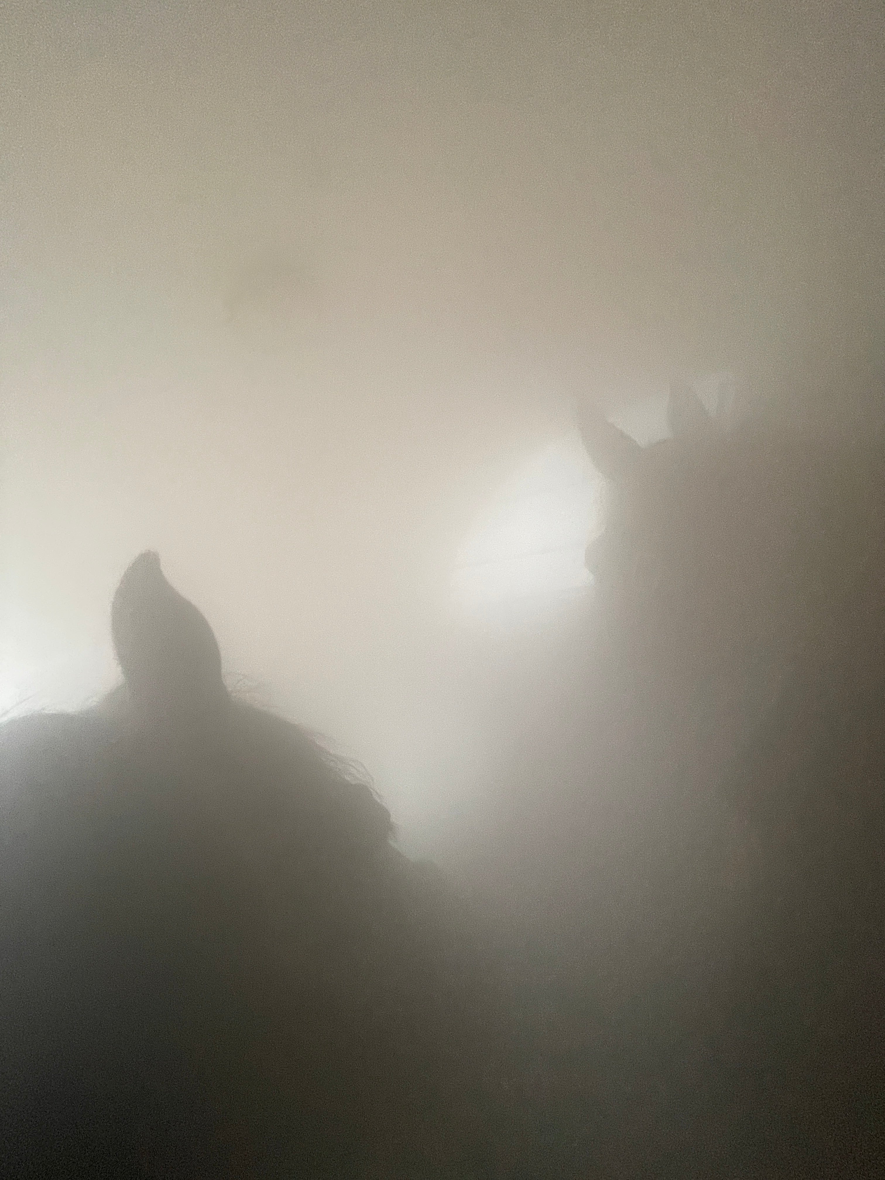 Mobile Solekamer | Soleanhänger mieten / leihen