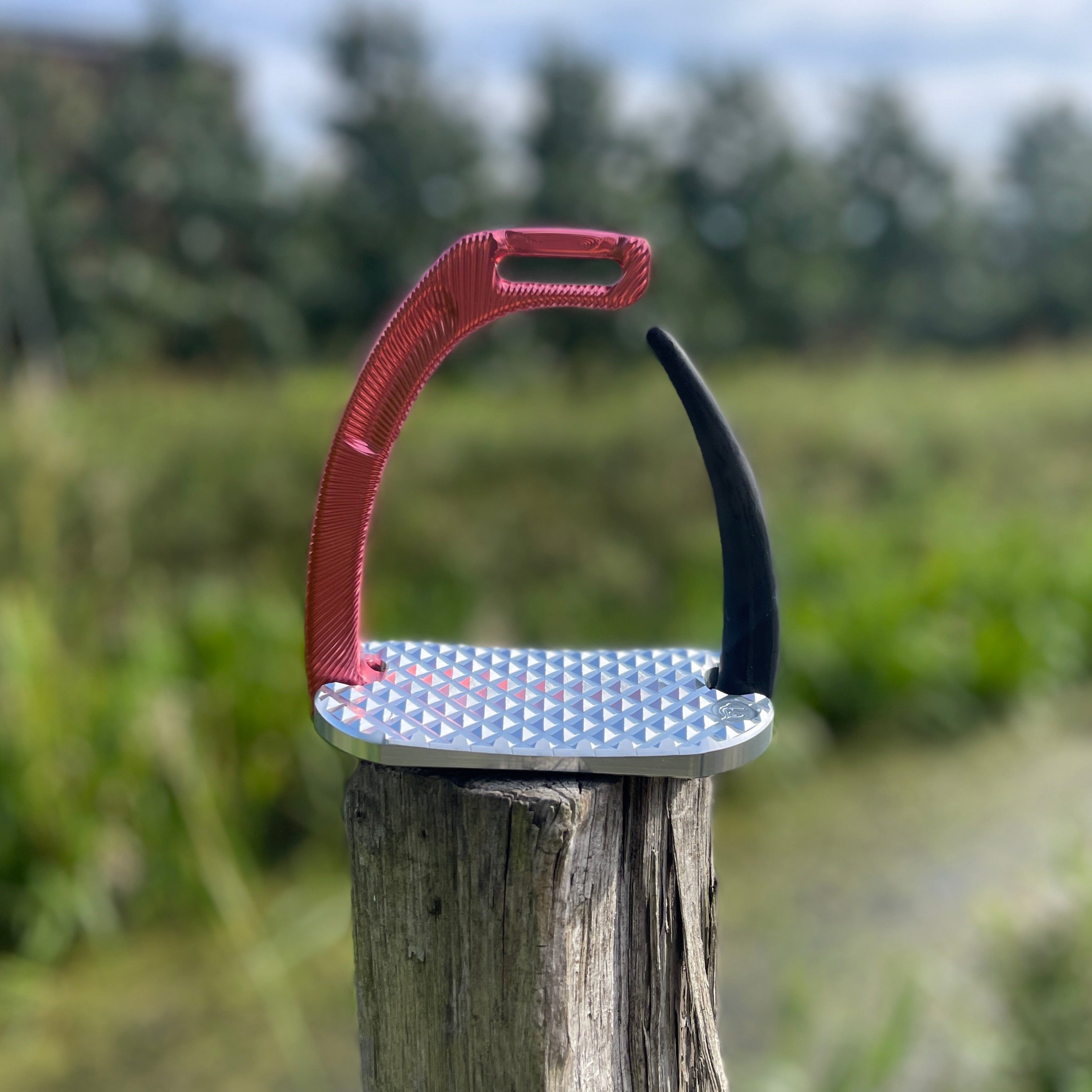 JS AIR Sicherheitssteigbügel