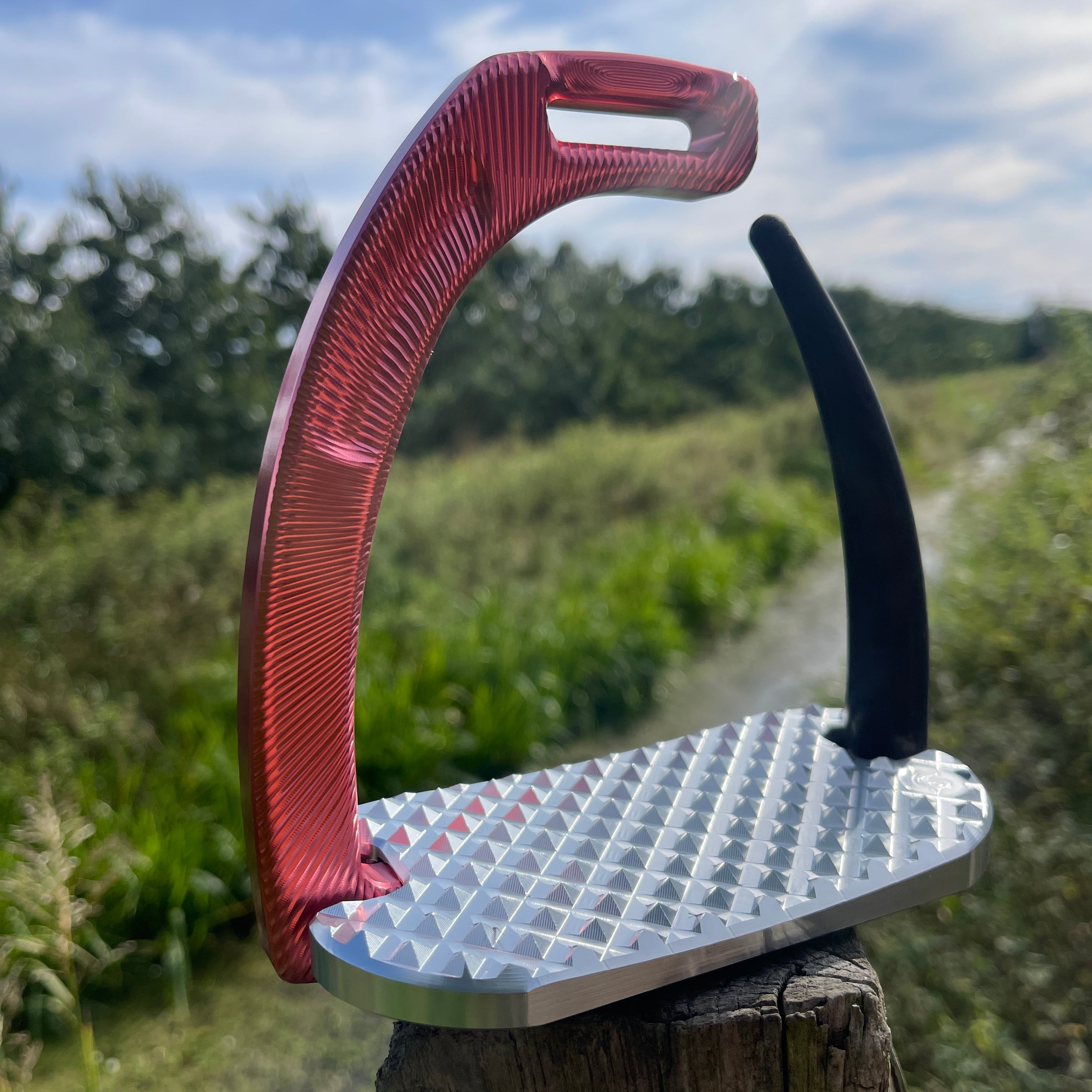 JS AIR Sicherheitssteigbügel