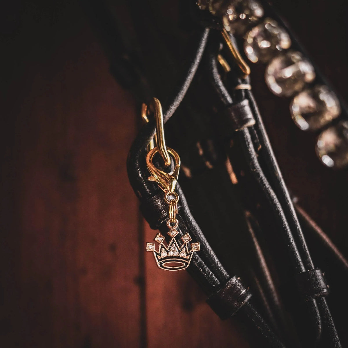 ROYAL RIDER Charm