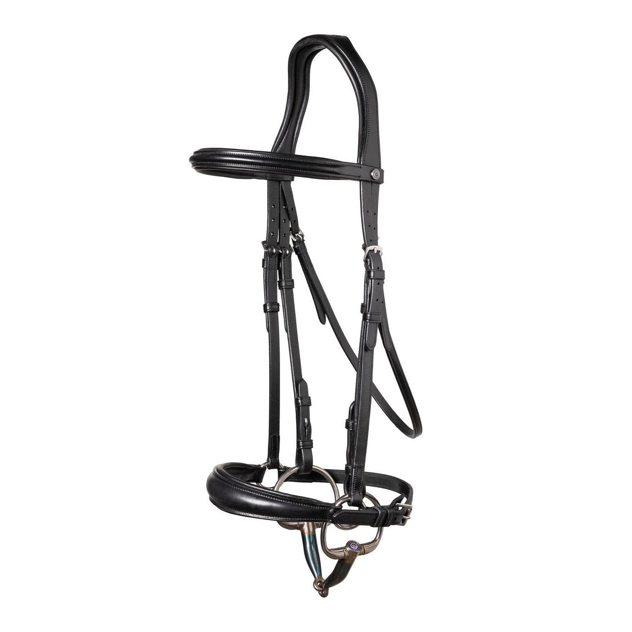 Trense Rome mit hannoverschem Reithalfter