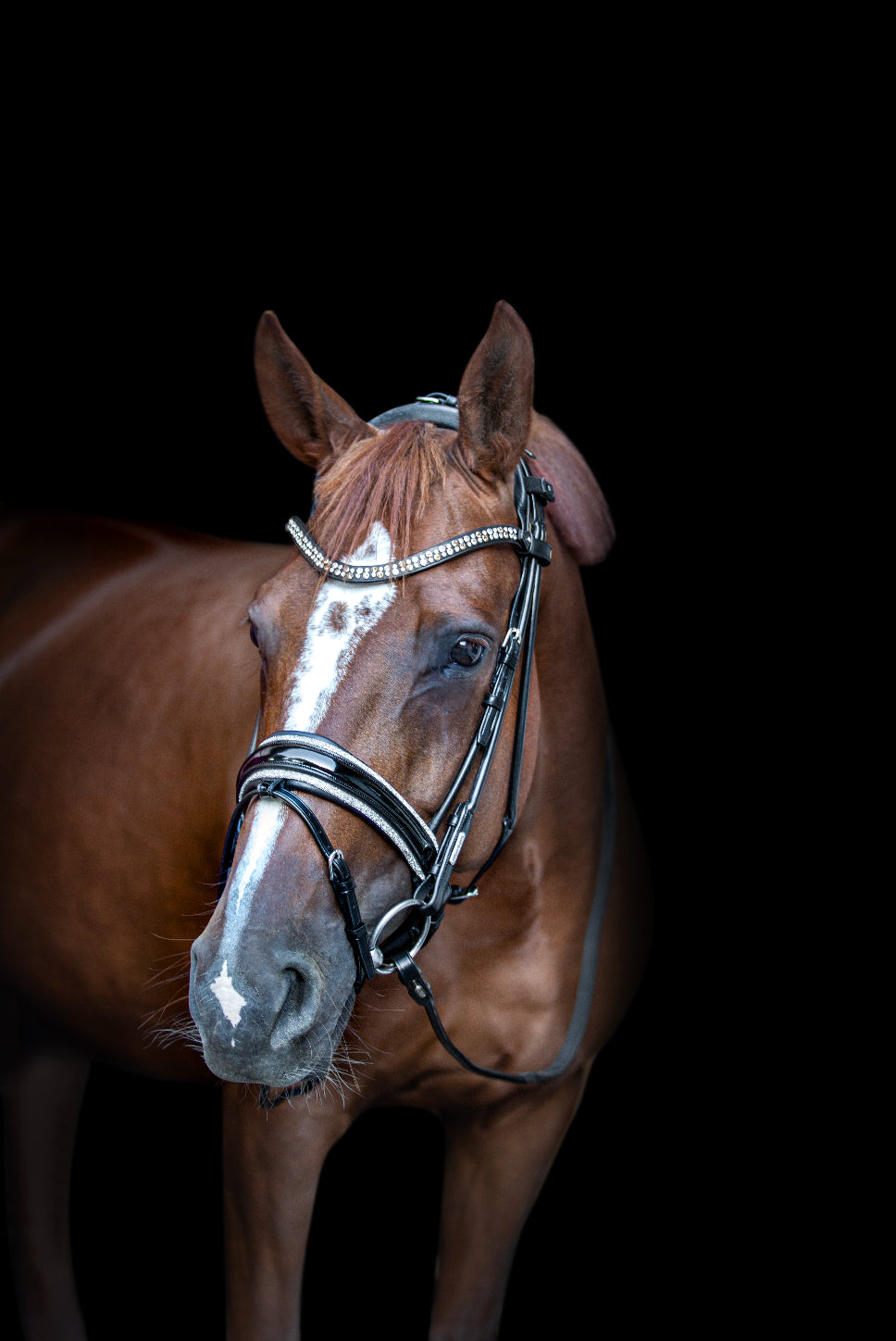 Trense Miami Crystals