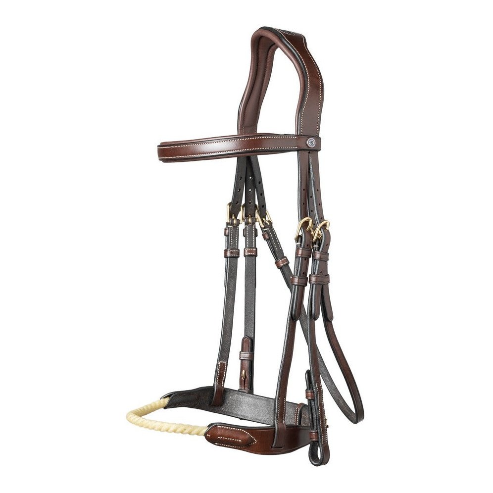 Trense St. Gallen mit Kordelreithalfter