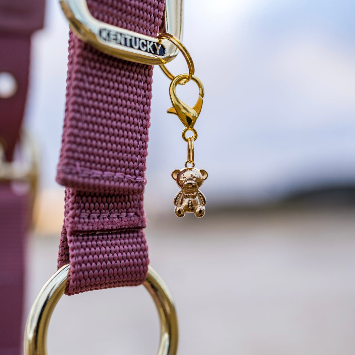 TEDDY LOVE Charm