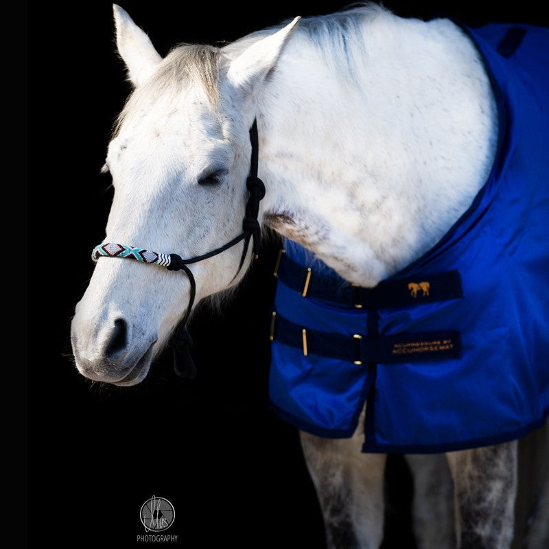 Accuhorsemat Original inkl. Akupressurmatten