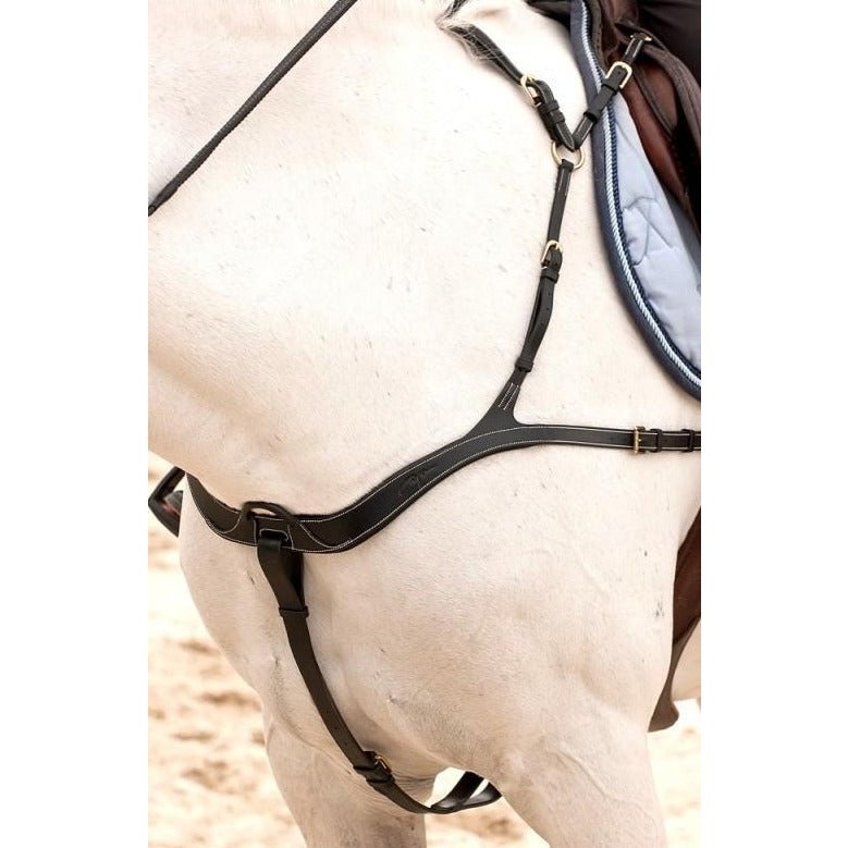 Anatomisches Vorderzeug DYON Collection