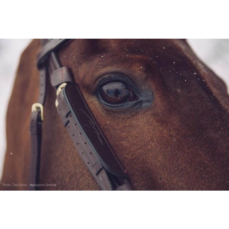 Backenstücke Focus Blinkers