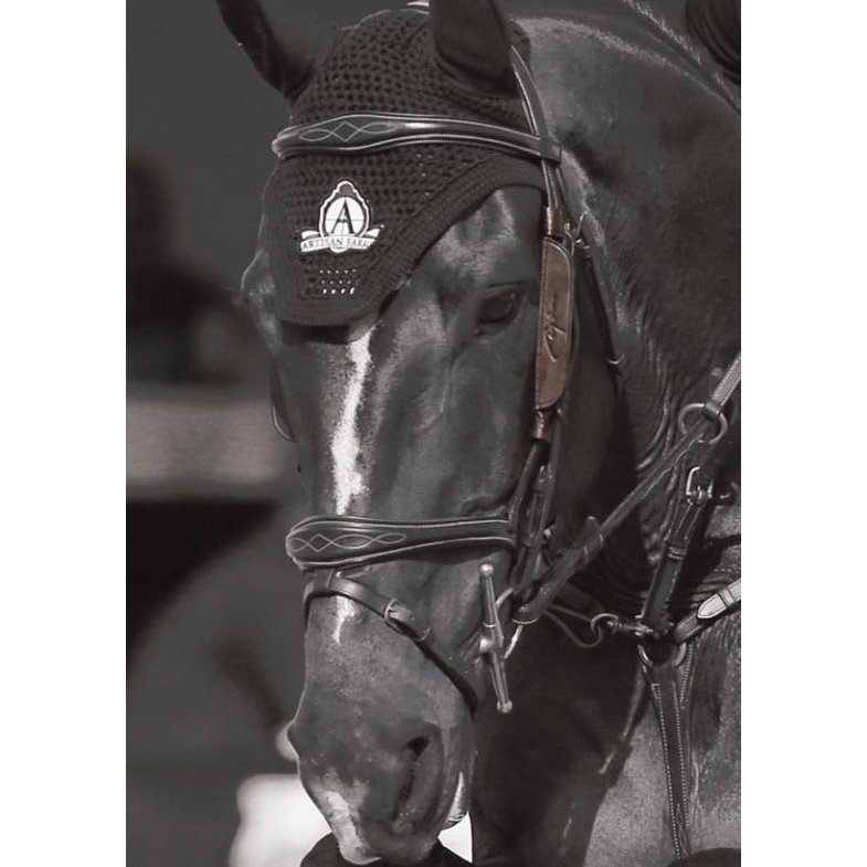 Backenstücke Focus Blinkers