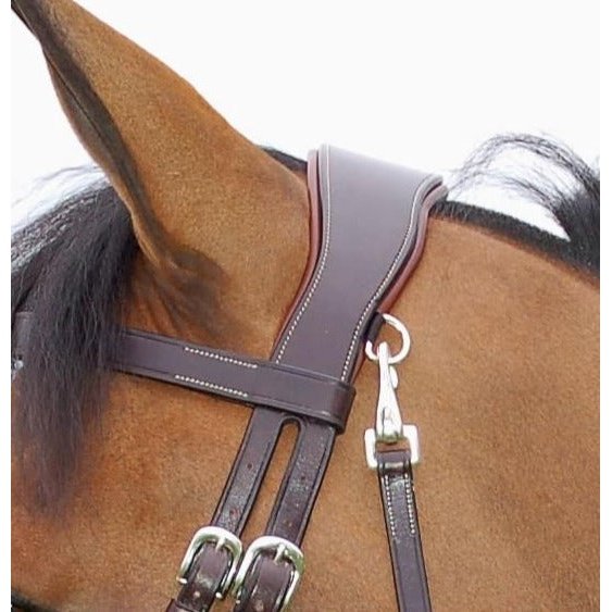 Glatte Trense mit kombiniertem Reithalfter WORKING Collection