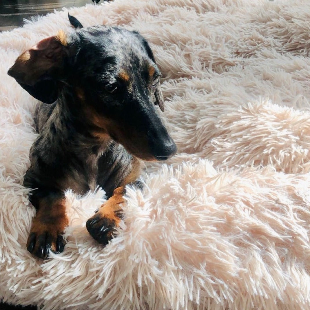 Hundebett Fluffy HKM