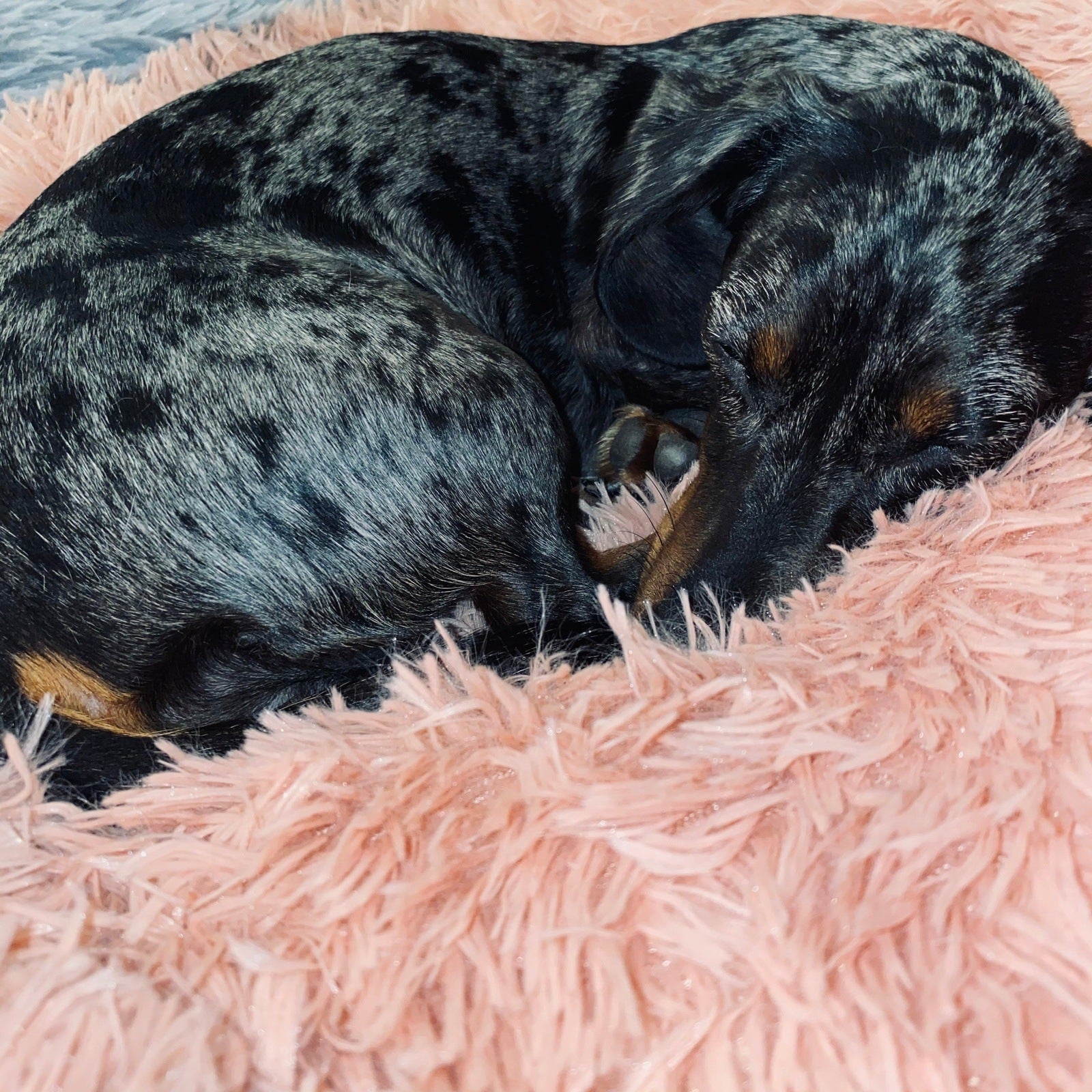 Hundebett Fluffy