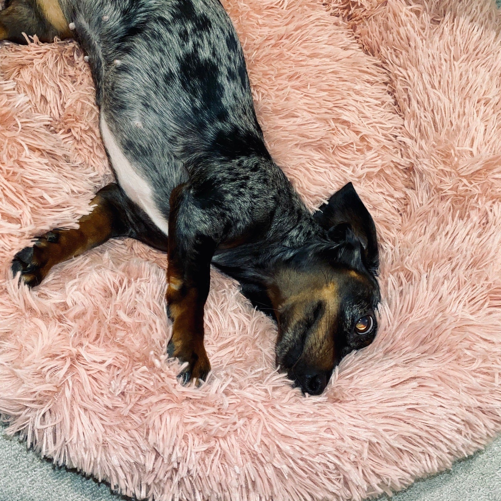 Hundebett Fluffy