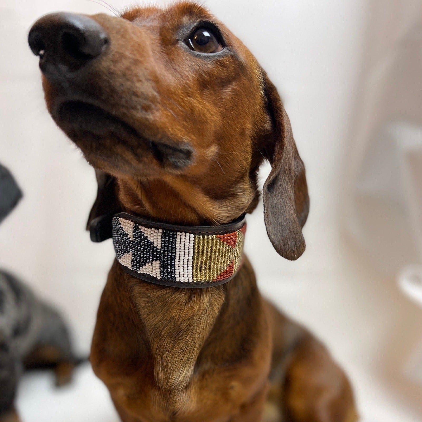 Hundehalsband GRÖßE S Perlen Maasai Kollektion