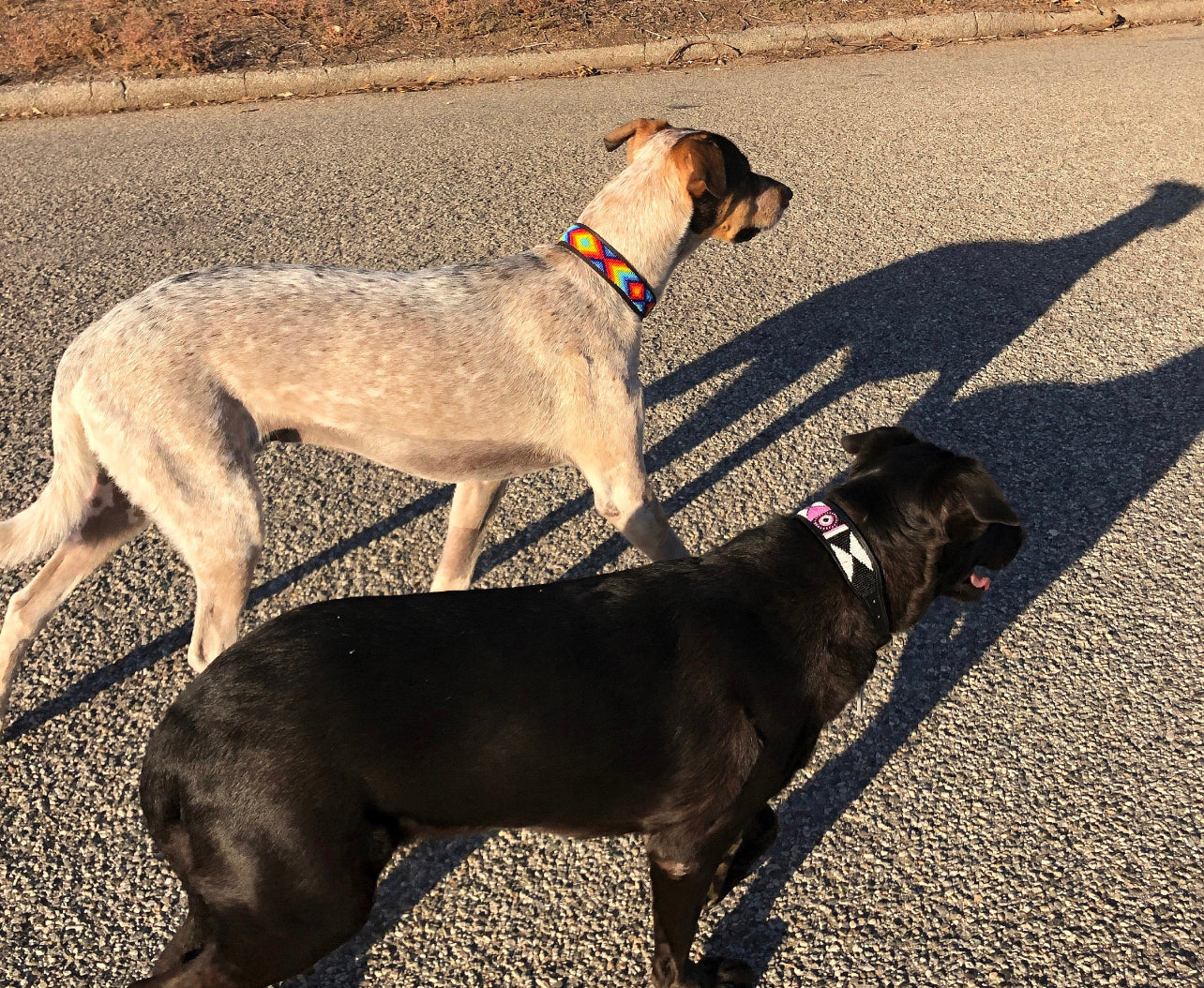 Hundehalsband Perlen Maasai Kollektion alle Designs