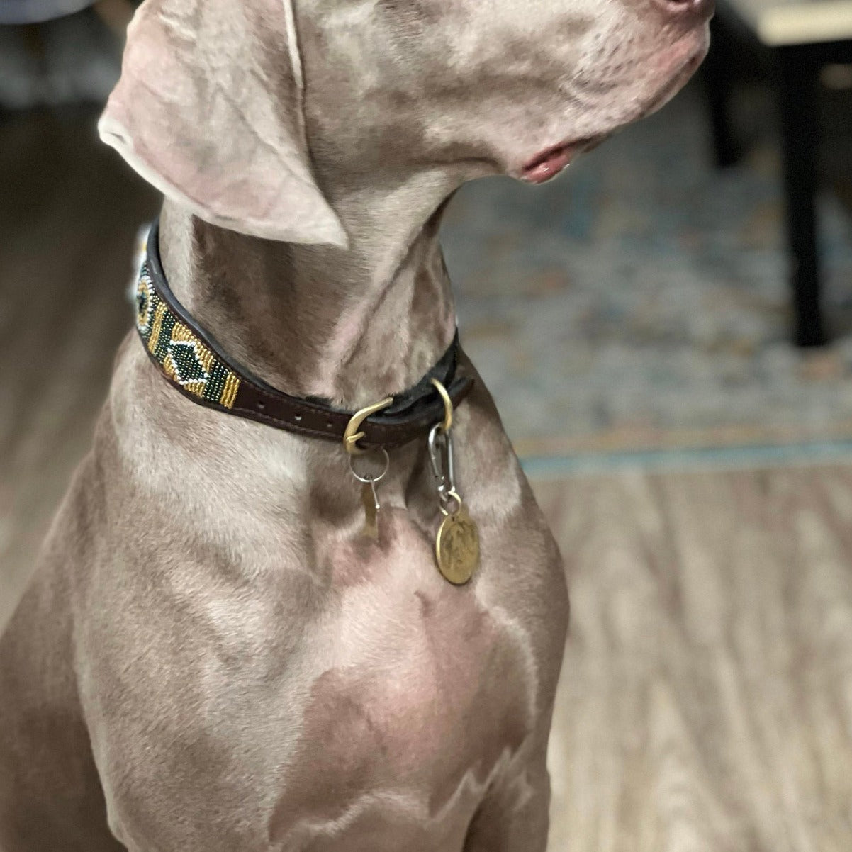 Hundehalsband Perlen Maasai Kollektion alle Designs