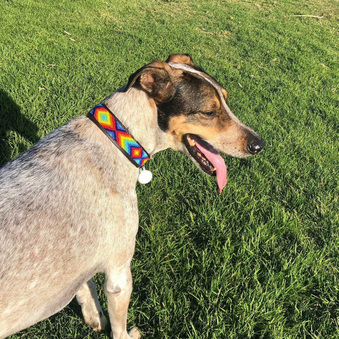 Hundehalsband Perlen Maasai Kollektion alle Designs