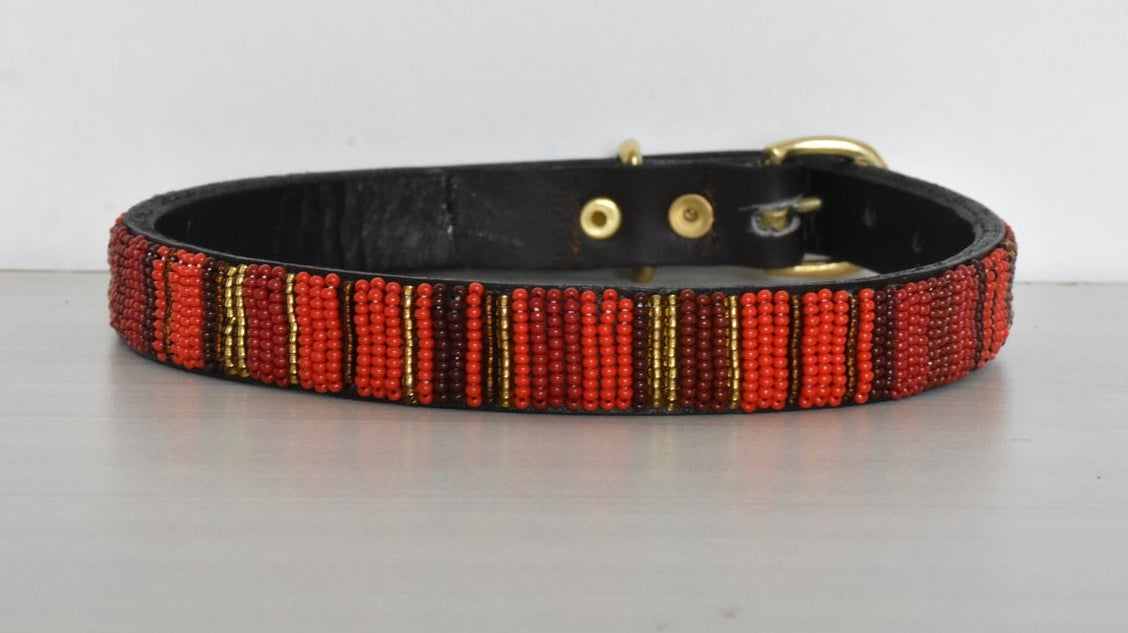 Hundehalsband Perlen Maasai Kollektion alle Designs