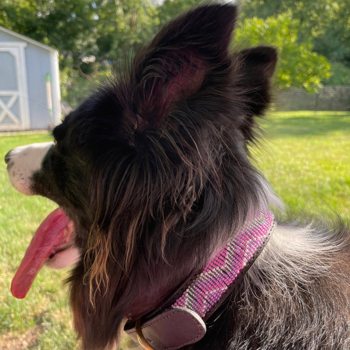 Hundehalsband Perlen Maasai Kollektion alle Designs