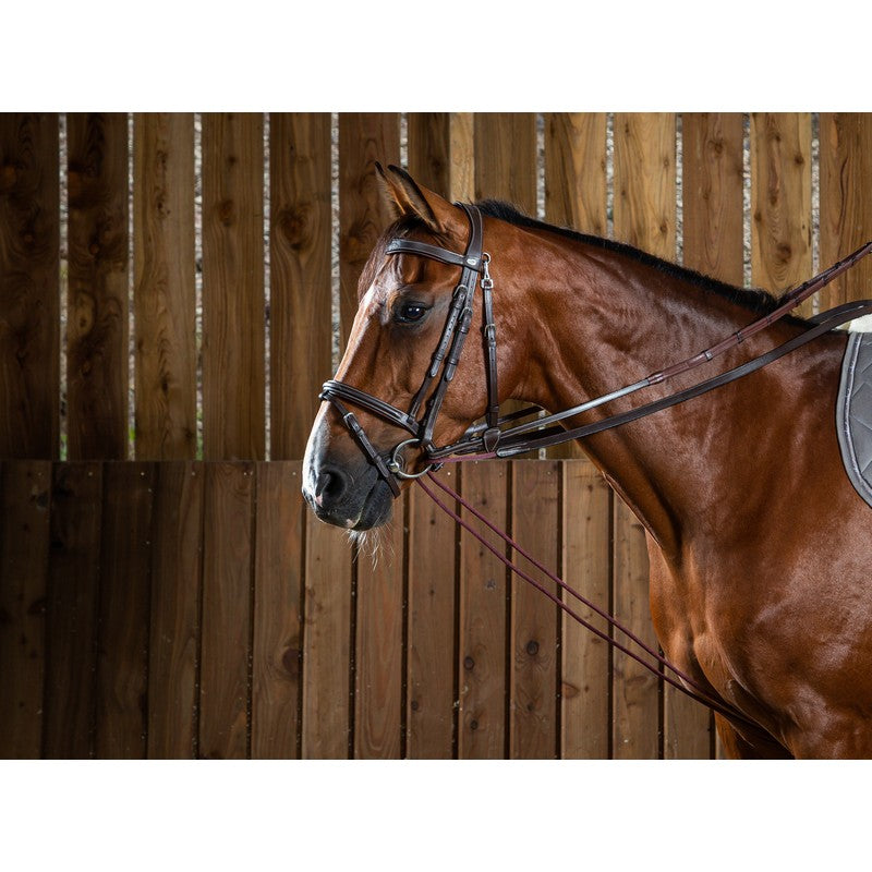 Kordelschlauzügel WORKING Collection