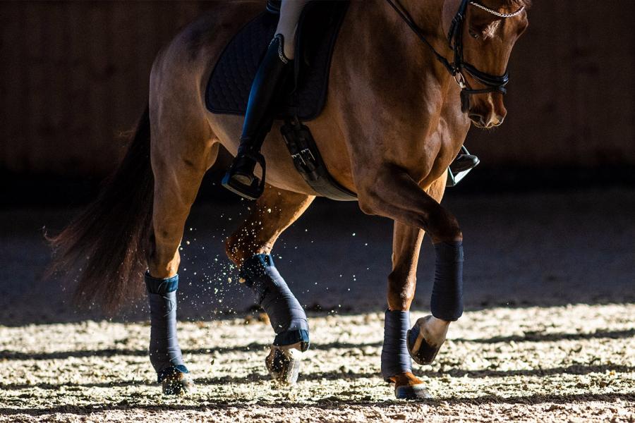 Kurzgurt Pressure-Relief