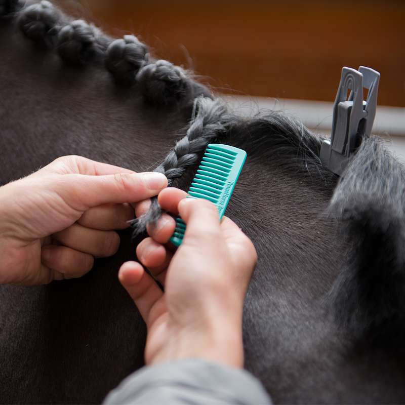 Mähnen - & Verziehkamm Colour