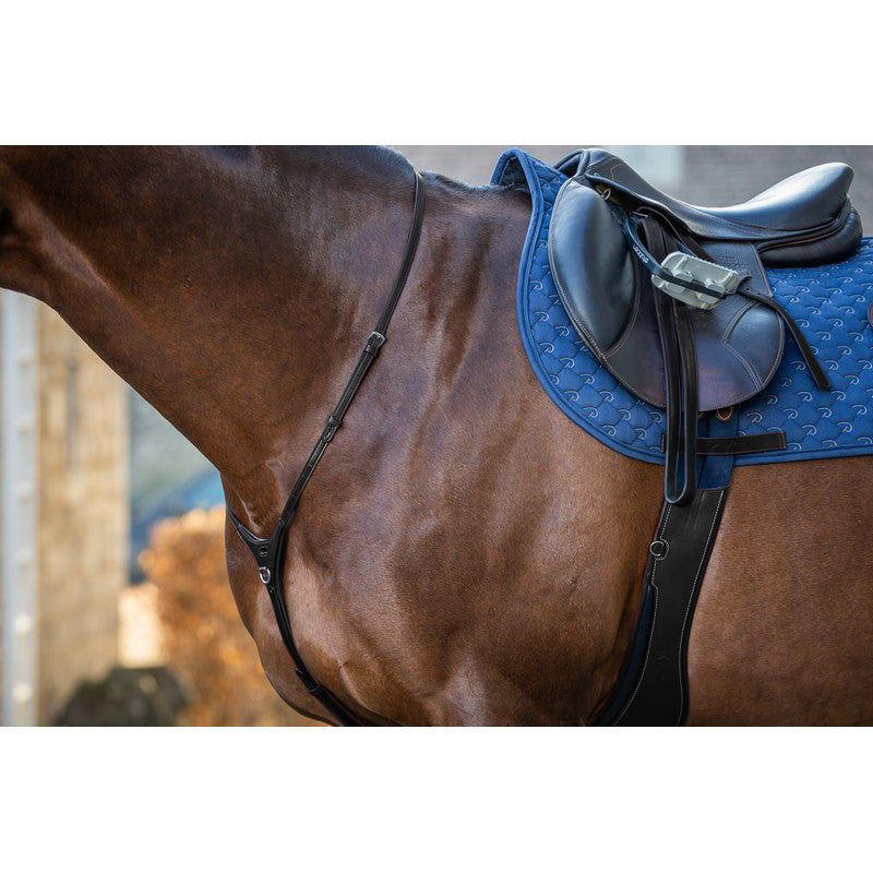 Martingal Yoke NEW ENGLISH Collection