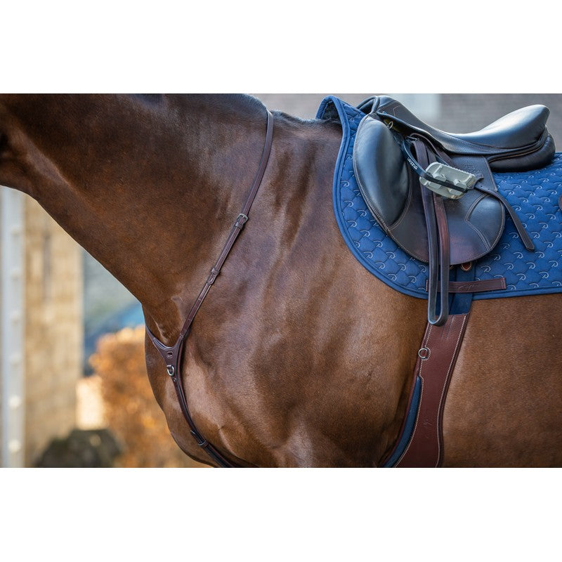 Martingal Yoke NEW ENGLISH Collection