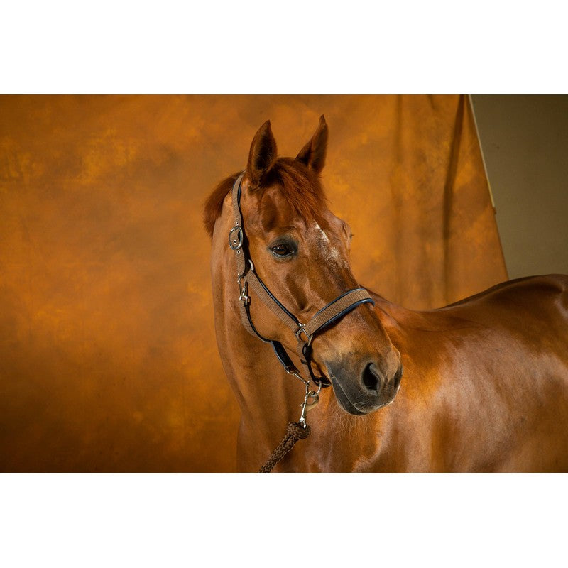 Nubuck Halfter NEW ENGLISH Collection