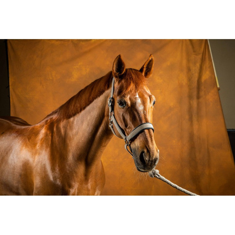 Nubuck Halfter NEW ENGLISH Collection