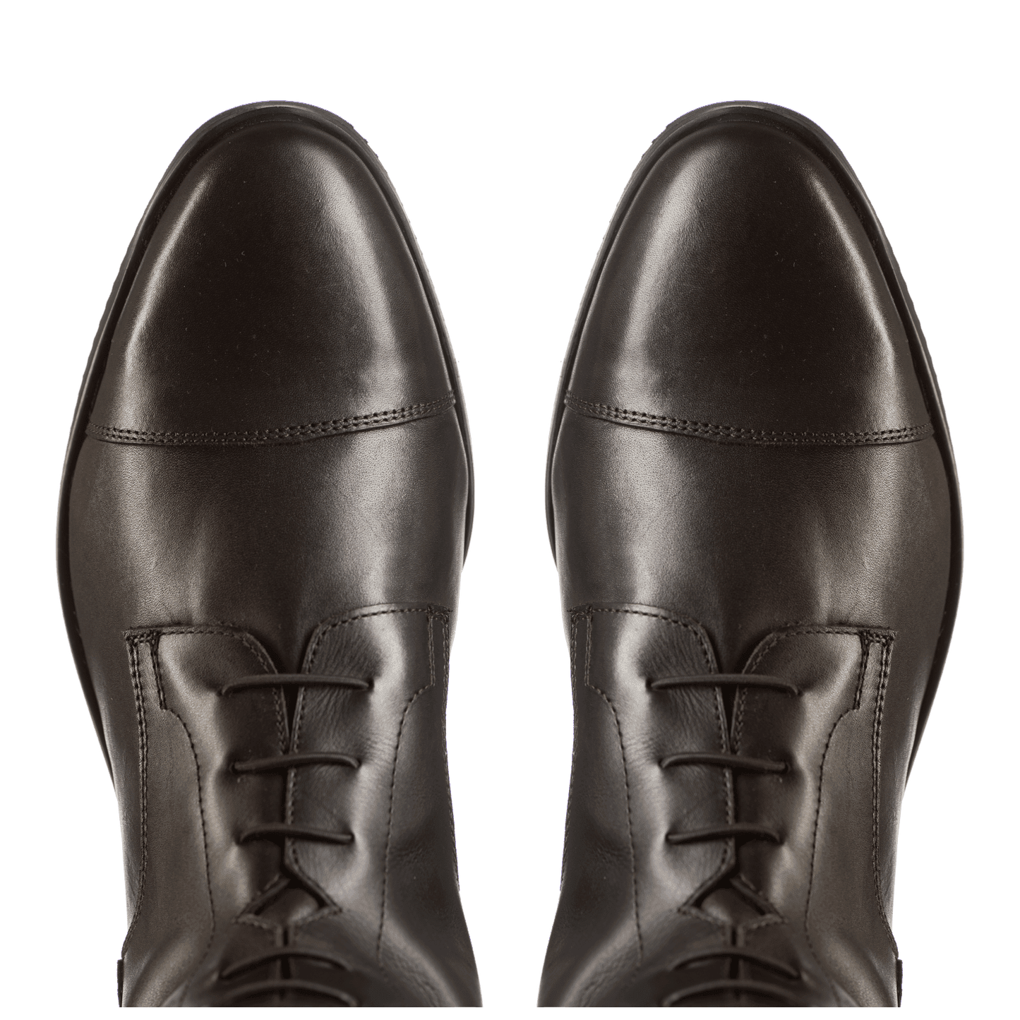 Reitstiefel Orion